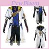 Atemberaubendes Genshin Impact Albedo Ritter des Westwinds Cosplay Kleidung Anzug 13 Teile