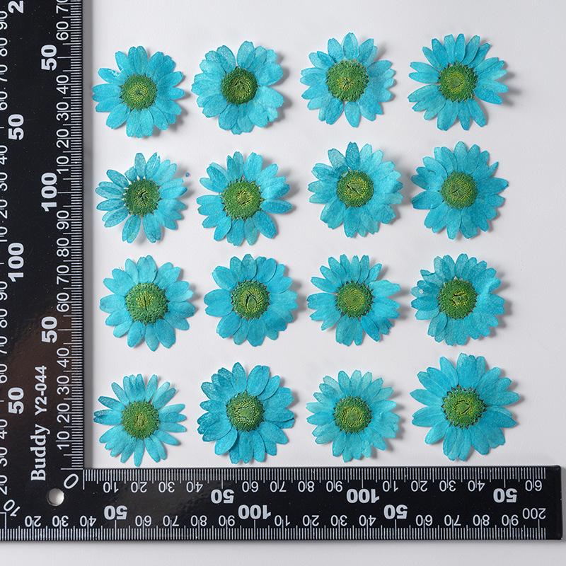 12 PCS/Set Pressed Dried Flowers for Scrapbooks Making Natural Flower For Epoxy Resin Pendant Necklace Jewelry Making Craft