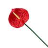 26" Real Touch Anthuriums Plant Artificial Tropical Flower with Long Stem Faux Floral Arrangement for DIY Vase Table Centerpiece Home Office Wedding