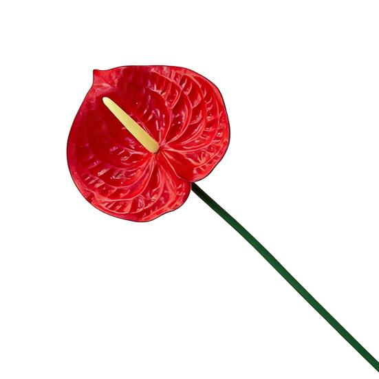 26" Real Touch Anthuriums Plant Artificial Tropical Flower with Long Stem Faux Floral Arrangement for DIY Vase Table Centerpiece Home Office Wedding