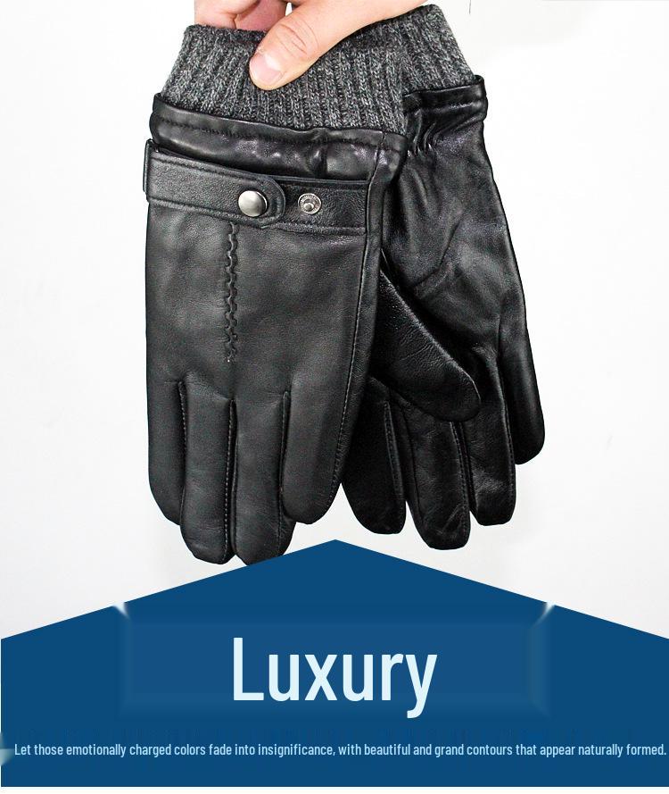 Men s Winter Outdoor Genuine Leather Gloves: European  American Style