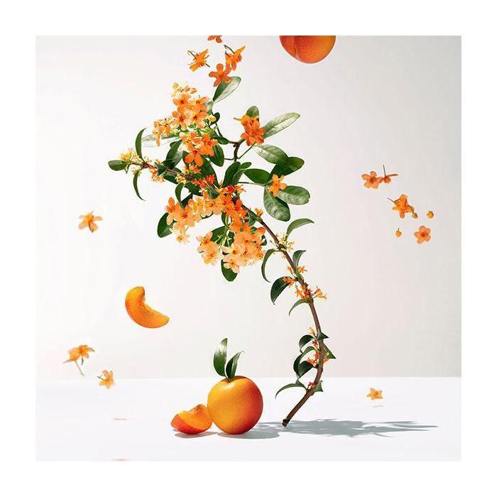 Roger Gallet Fleur d#039;Osmanthus Wohltuendes Duschgel 200ml