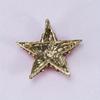 Fashion Star Luxury Crystasl Brooch Pin Badges Rhinestone Elegant Women Men Trendy Corsage Jewelry Bcukle Coat Pins
