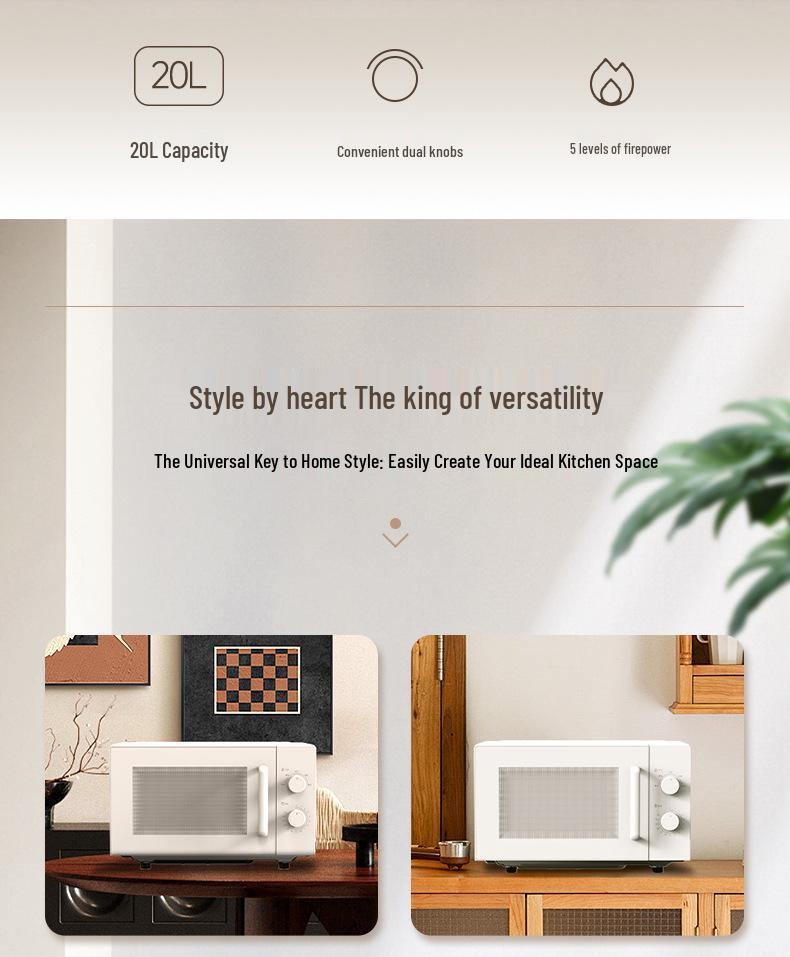 20L-30L European/British Standard Mechanical Turntable Microwave Oven for Home