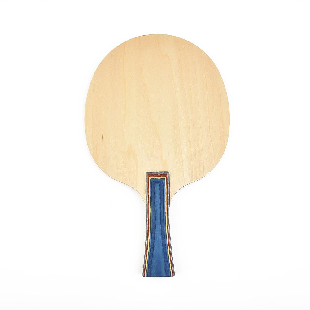 Table Tennis Blade Physical Education Anatomic Bat