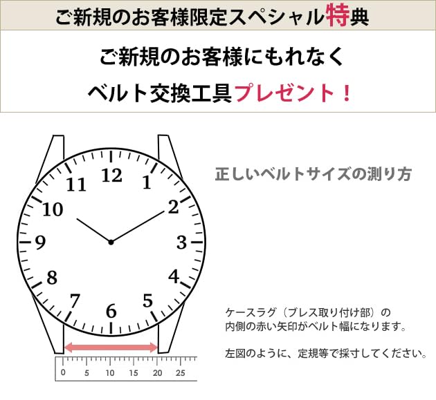 Watch Leather Belt Paul Gold Brown 24mm Buckle Silver [Hirsch] [Genuine] Color pu_gb_24