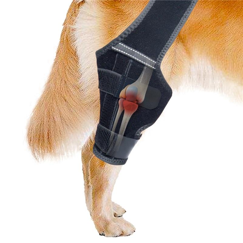 Adjustable Dog Knee Brace Breathable Durable Leg Support Bracket Reflective Design Joint Support Pet Knee Wound Protection