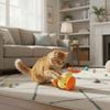 USB Charging Cat Interactive Whale Toy Running Car Plastic Automatic Rolling Ball Interactive Electric Whale Car Toy