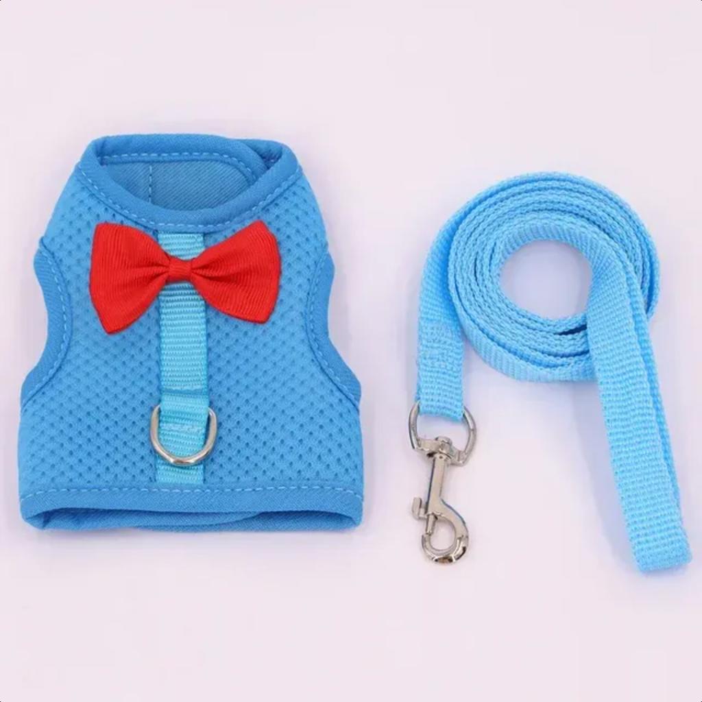 New Stylish and durable adjustable chest back pet lead rope for outdoor walks - Comfort and security for small pets like Golden