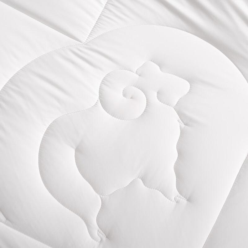 Mercury Home Textiles Weil Antibacterial Australian Wool Quilt