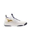 Footwear Type Mizuno Indoor Wave Momentum 3