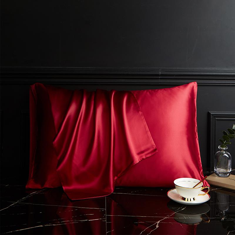 100% Natural Mulberry Silk Pillowcase designed for Hair and Skin - Front in Pure Silk and Back in Breathable Lyocell Fiber 1 Pack