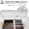 Gifty Parakeet Carrier Cage - Perfect for Vet Visits, Travel, and Outings. Includes Perches and Food Dispensers. Lightweight, breathable, and easy to