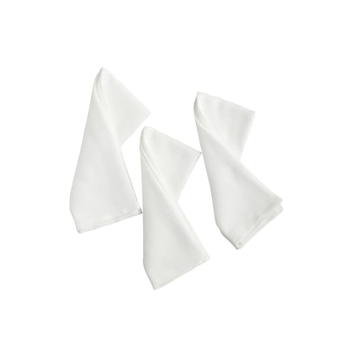 AISEN Highly Absorbent Dishcloths, Pack of 3, 35 x 50 cm, KFL12