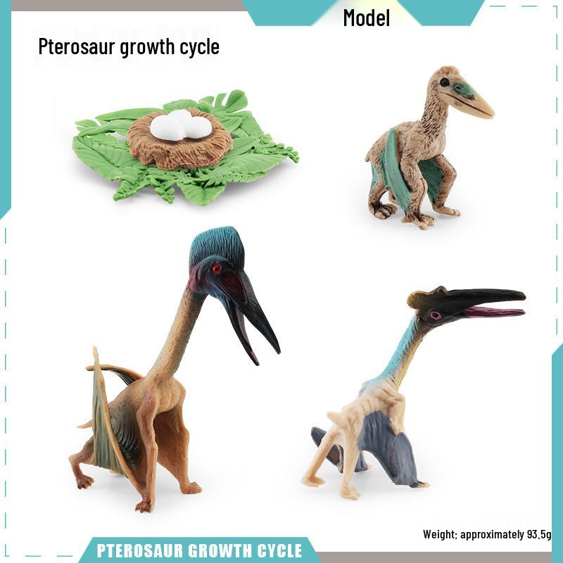 Animal Growth Cycle Models: Chicken, Duck, Goose, Butterfly, Turtle, Frog Montessori Teaching Figurines
