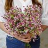 Single Branch Color Milan Gypsophila Femtive Artificial Flower Fake Flower Wholesale Bridal Bouquet Wedding Set Handmade Diy