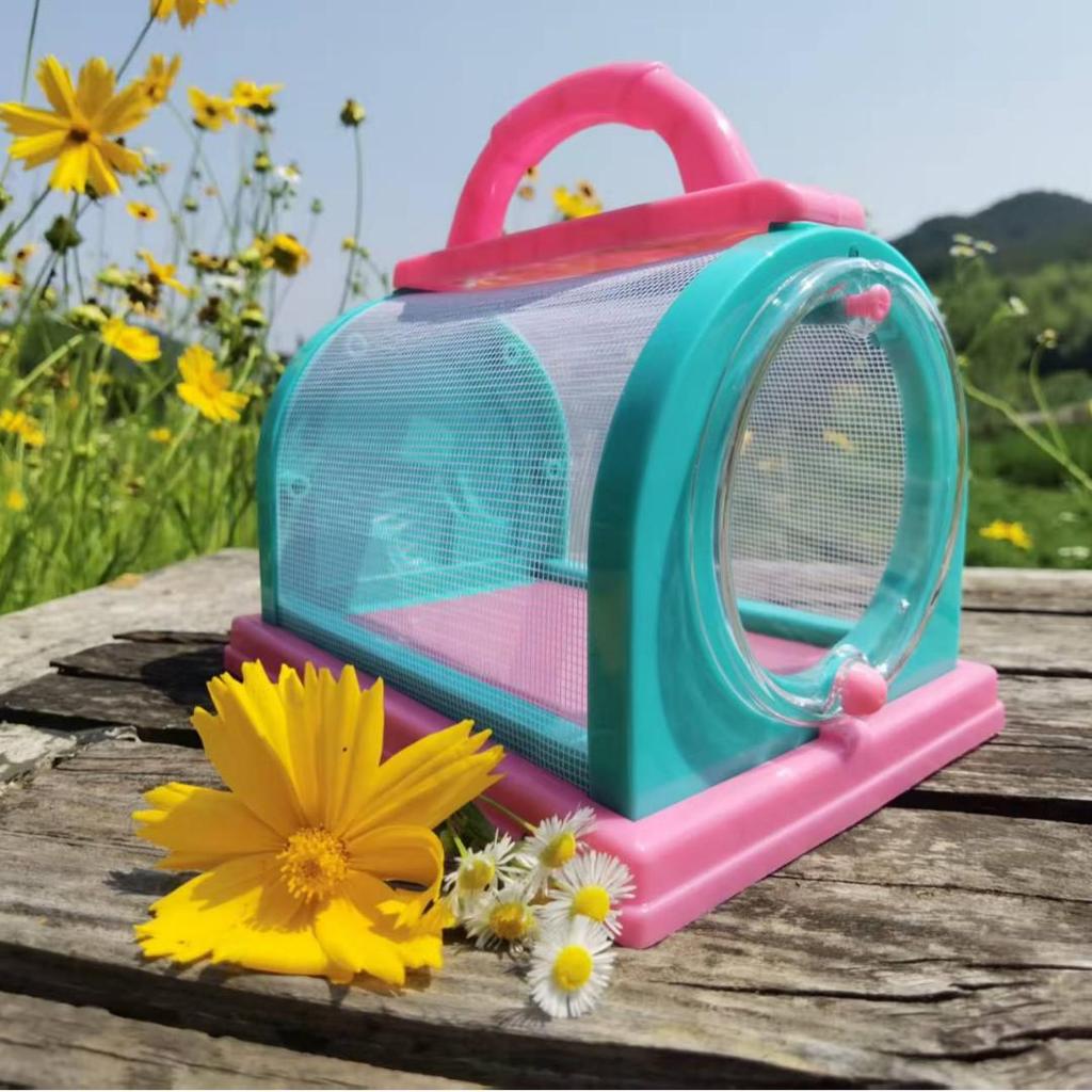 Portable Insect Observation Cage for Butterflies, Silkworms, and Bees