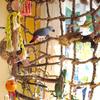 Rope Climbing Net For Pet Bird Parrot Hemp Rope Bird Toy, Universal Climbing Net For Hamsters And Small Pets, Hammock, Swing