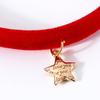 Haustierhalsband Verstellbar Verschleißfest Samt Mini Stern Anhänger Haustier Katze Hund Halsband Ornament Haustierbedarf