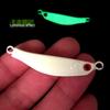 Chuangyang 20g Shore Casting Slow Jigging Metal Fish Jig with Hook, 4.9cm