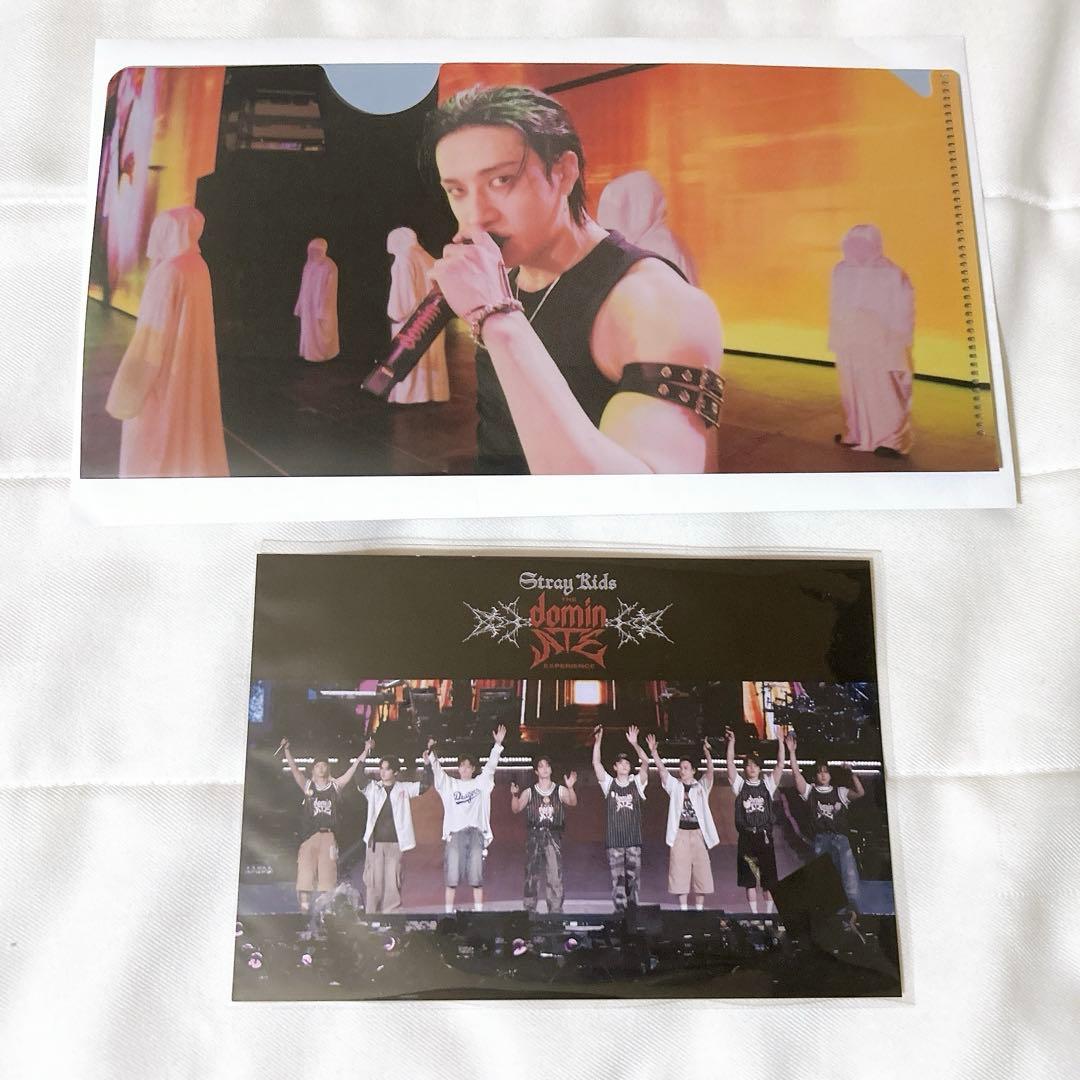 [USED] Stray Kids movie bonus items: postcard and clear file