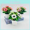 Pfingstrose Kunstblume Mini-Topfpflanze für Fotografie Heimdeko und Hochzeitsveranstaltungen