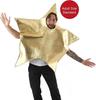 Adult Christmas Costume, Large Gold Star