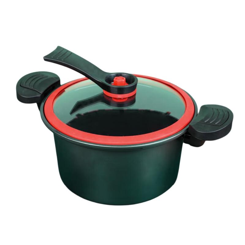 Rudolf Ailton Micro Pressure Cooker