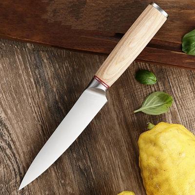 Coltelli multiuso da cucina in acciaio inossidabile Coltelli da cucina per frutta
