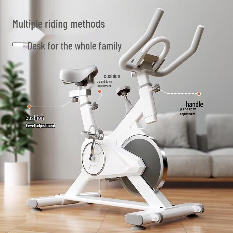 LDIWEI K200 Spinning Bike