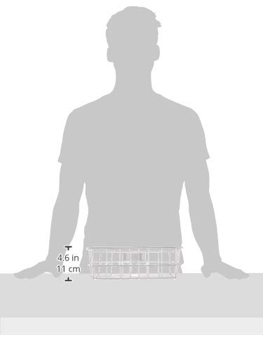 Bridgestone (BRIDGESTONE) Front Stainless Steel Basket SU (Stainless Steel) for CHeRO 700C and 650C (BK-CRSU P5898 F761319SU)