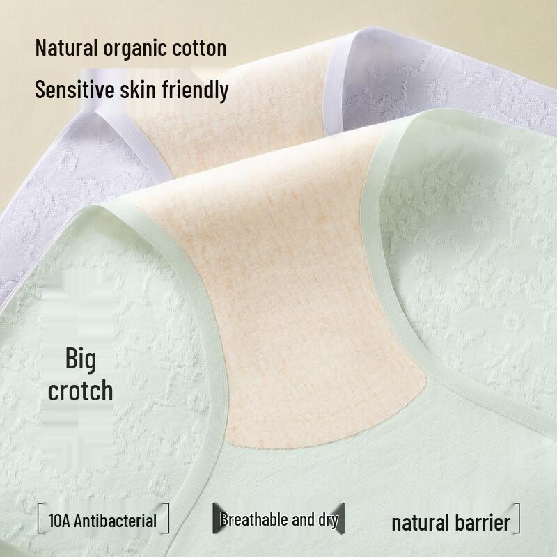 Miiow Women's Organic Cotton Antibacterial Seamless Briefs