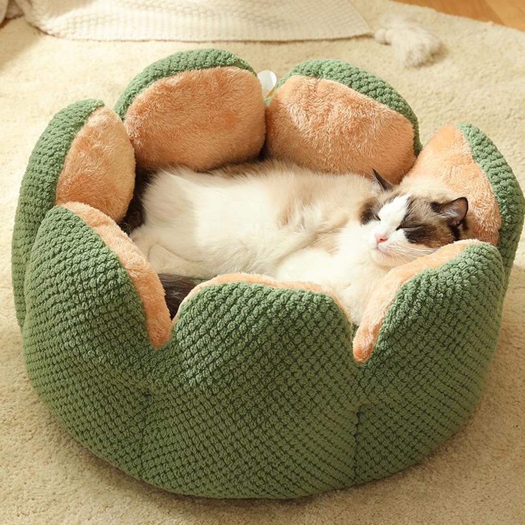 Kaktusblütenform Hunde Katzenbett Warm Niedlich Kätzchen Liege Kissen Katzenhaus Sehr Weich Kleines Hundebett Waschbar Katzenbetten