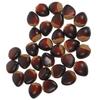 30 Pcs Foam Chestnut Artificial Nuts Decorations Fake Food Prop Nut Model Display Easy Clean Lightweight Portable