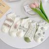 Female Character Non-Compression Socks Set Sock Collection