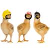 1Pc Protective Chicken Helmet for Chicks and Hens, Bird Hat, Head Cover, Pet Supplies, Holiday Gift