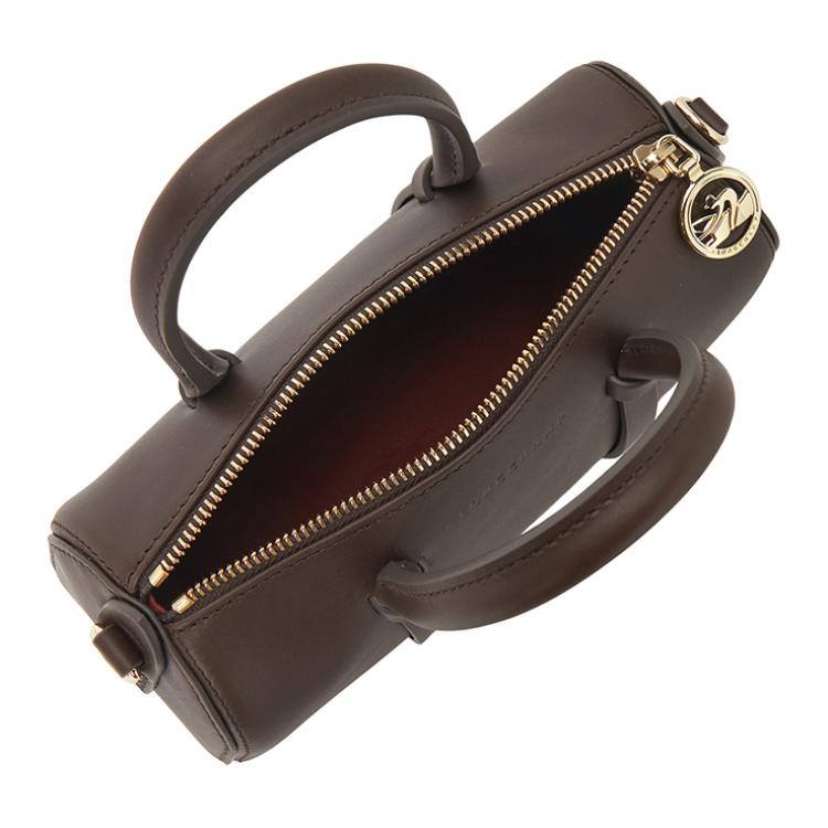 Longchamp Daylong Small Shoulder Crossbody Handbag With Gold Hardware In Mocha Women Handbags 10270HGX002