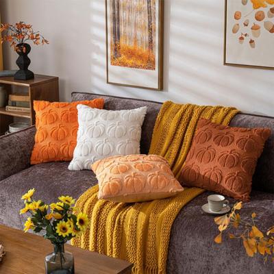 Fall Decorative Throw Pillow Case Set of 2 Soft Plush Couch Cushions for Living Room Comfort Decoration 17.72x17.72inch