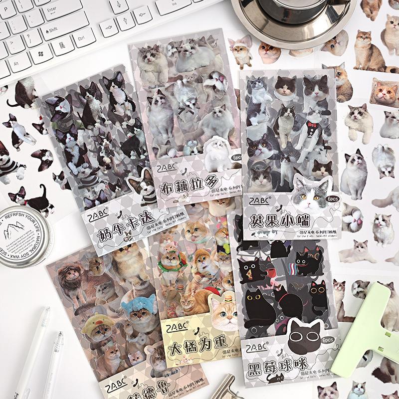 6 pcs Cute PET cat theme PET sticker bag handbag decoration stickers diy handbook material paper Scrapbooking Material