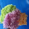 Anna Hydrangea Preserved Small Leaf Bouquet - Real Dried Flower for Wedding Decoration & Photo Props