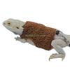 24TE Small Animals Vest Suit with Leash Reptiles Costume BeardedDragon Warm Clothing