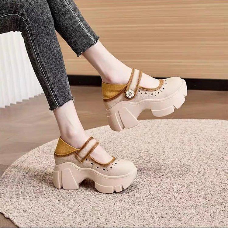 Mary Jane women's shoes 2025 spring and autumn new French thick heel single shoes versatile height Velcro small leather shoes
