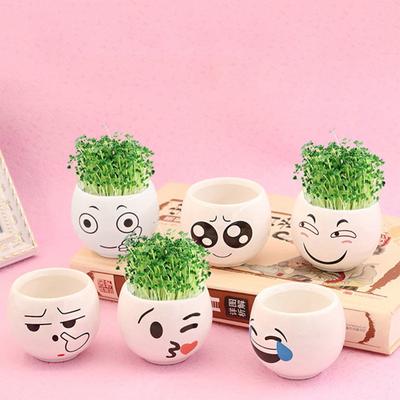 Pens Holder Desk & Cute Planters Flower Pot With Drainage Hole Perfect
