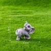 Creative Miniature Animal Elephant Cute Decoration Resin Bonsai Doll Fairy Tale Garden Decoration Desktop Small Ornaments