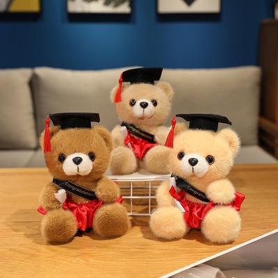 Dress Dr. Bear Doll Plush Toy Dr. Hat Bear Hug Bear Doll Ragdoll Graduation Gift