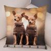 Cute Pet Animal Pillowcase Decorative Cute Puppy Chihuahua Pillowcase Soft Plush Cushion Cover for Car Sofa Home 45x45cm