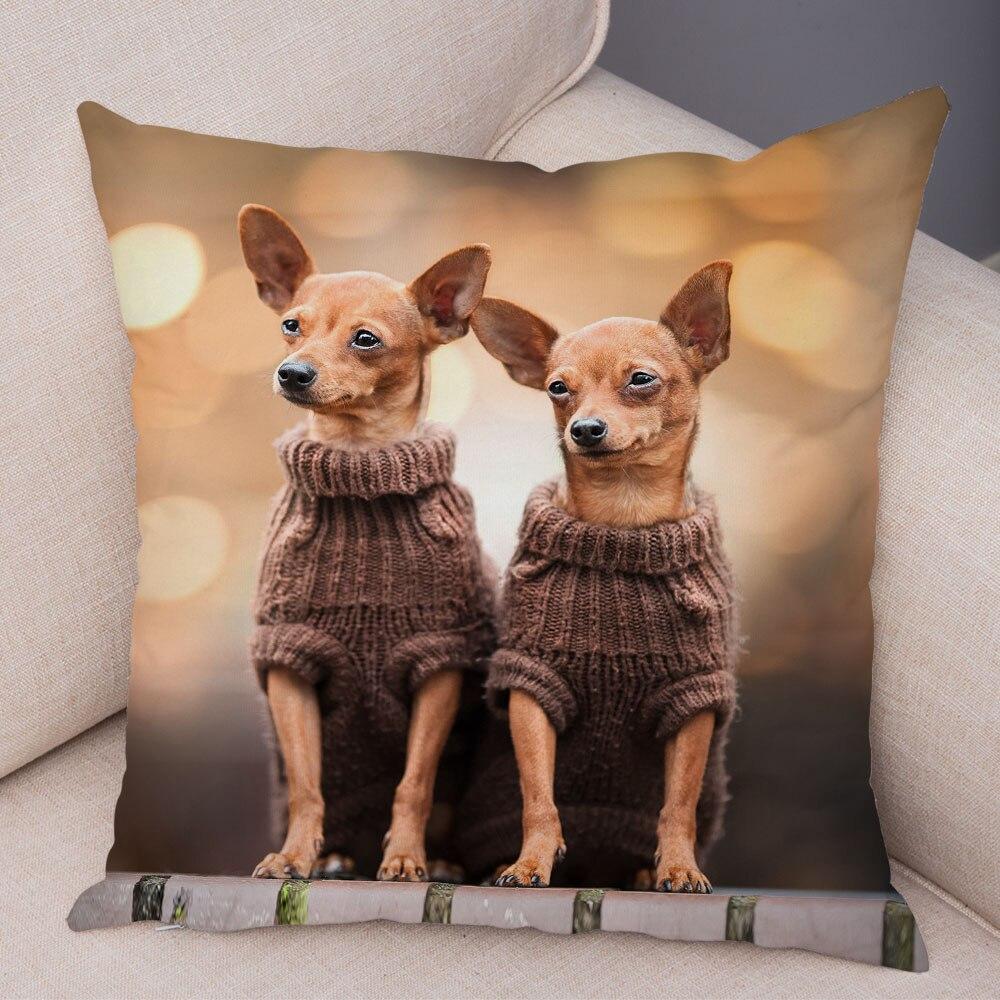 Cute Pet Animal Pillowcase Decorative Cute Puppy Chihuahua Pillowcase Soft Plush Cushion Cover for Car Sofa Home 45x45cm