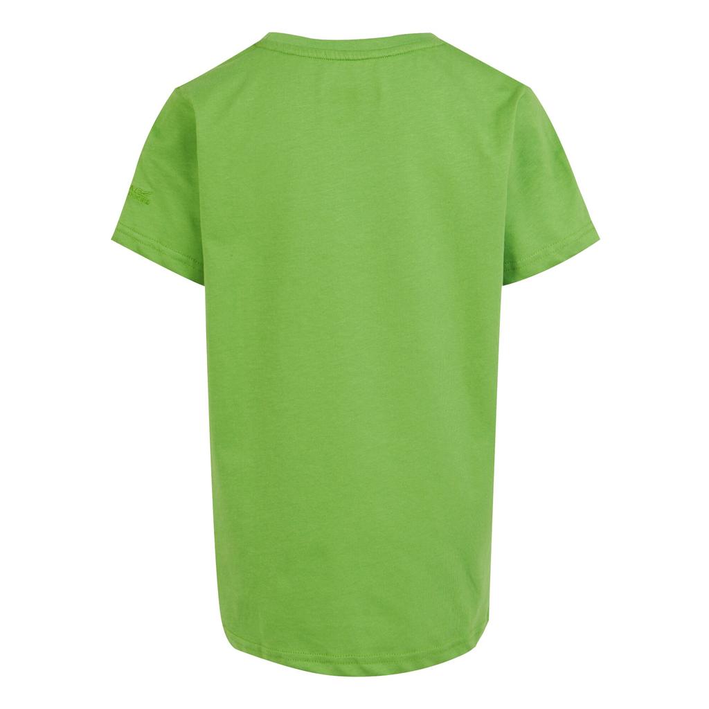Regatta Childrens/Kids Bosley VII Mountain T-Shirt