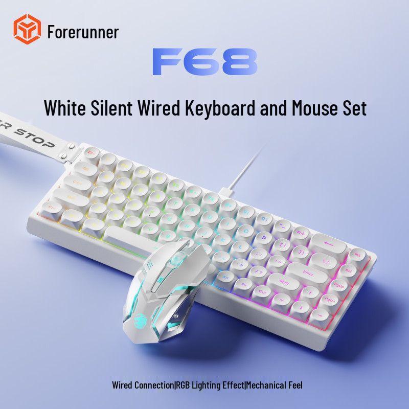 Qianxingzhe F68 Wired RGB Keyboard & Silent Mouse Combo
