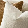 A Contemporary Style Thick Plush Solid Color Cushion Cover, Soft Textured Pillowcase for Sofa, Car, Office, Bedroom, Made of Polyester, Zipper Closure
